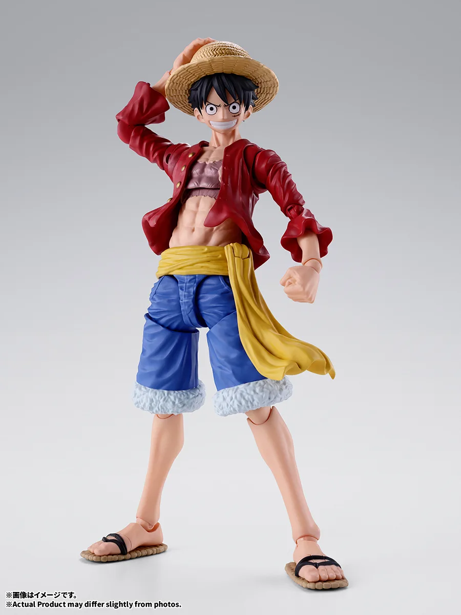S.H.Figuarts MONKEY.D.LUFFY - Two years later -