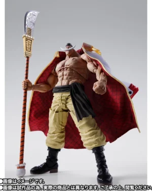 S.H.Figuarts EDWARD.NEWGATE -MARINEFORD-